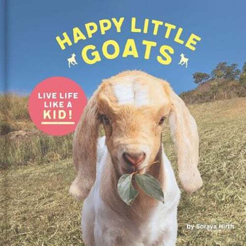 Happy Little Goats: Live Life Like a Kid! by Soraya Hirth: Used