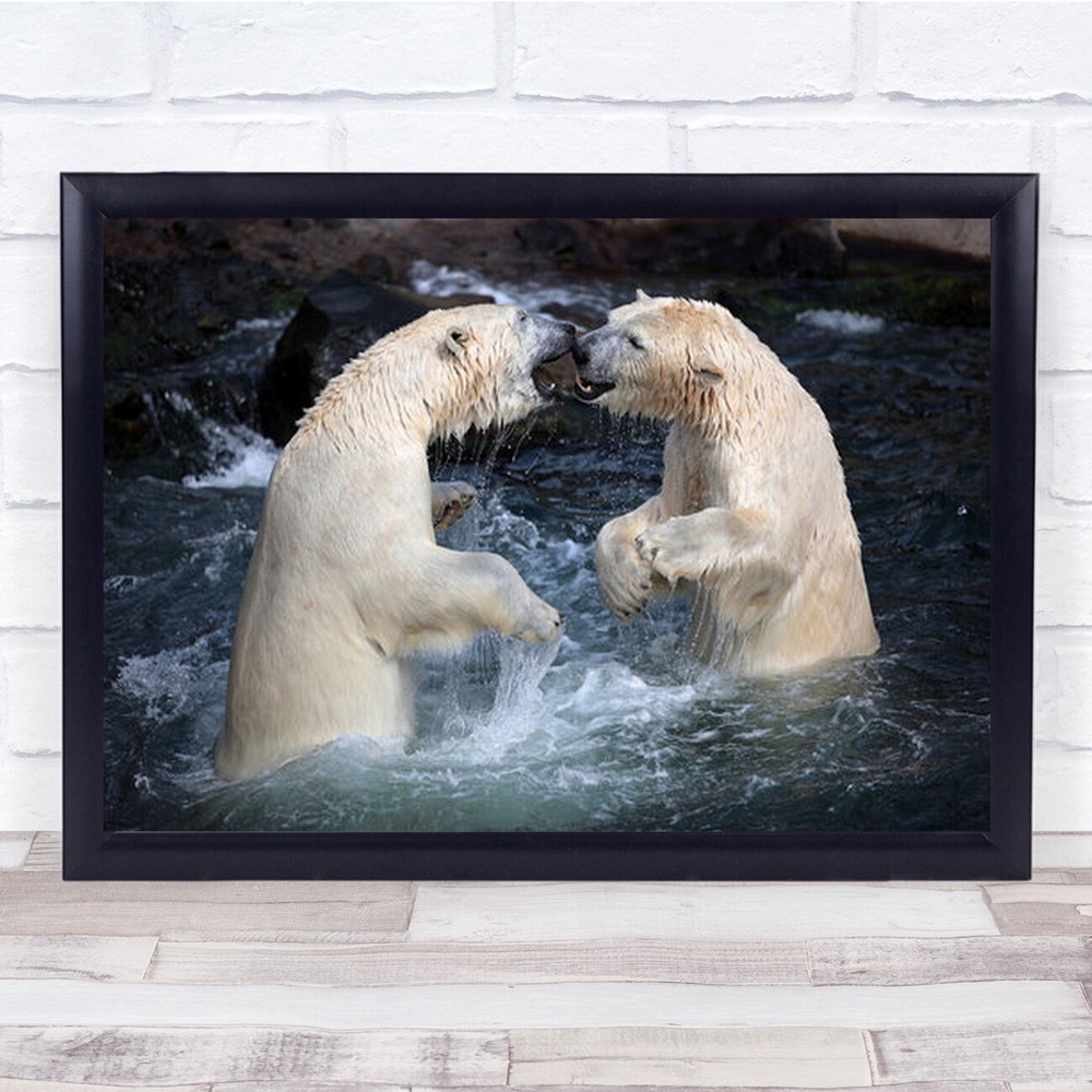 The Fight Polar bears Battle Friendship Play Joy Action Wall Art Print