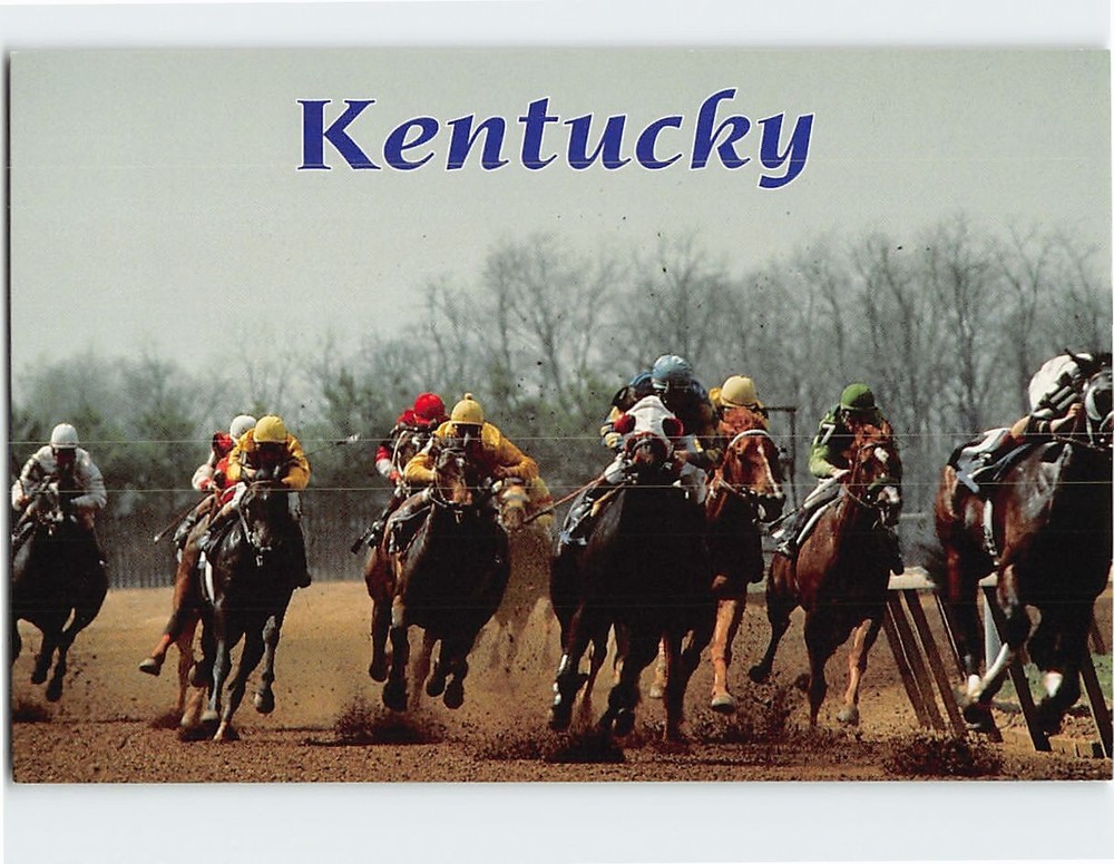 Postcard Horse Racing Scene Kentucky USA