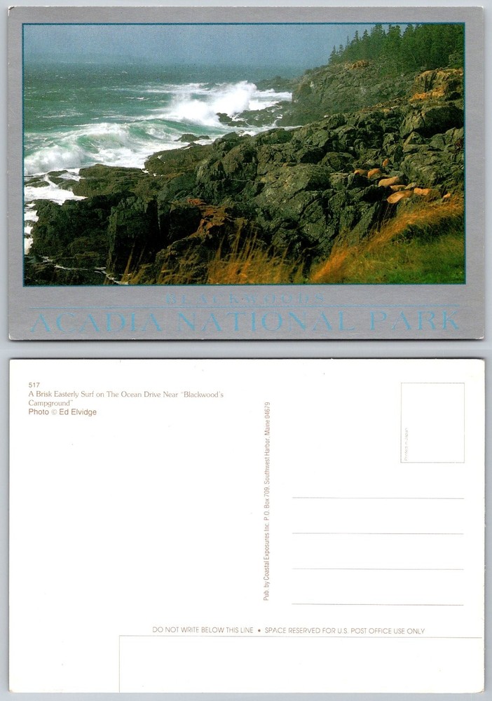 Acadia National Park Maine Ocean Drive Brisk Easterly Surf Postcard-image