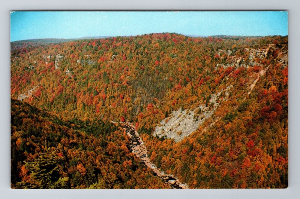 Davis WV- West Virginia, Blackwater Canyon, Antique, Vintage Souvenir Postcard