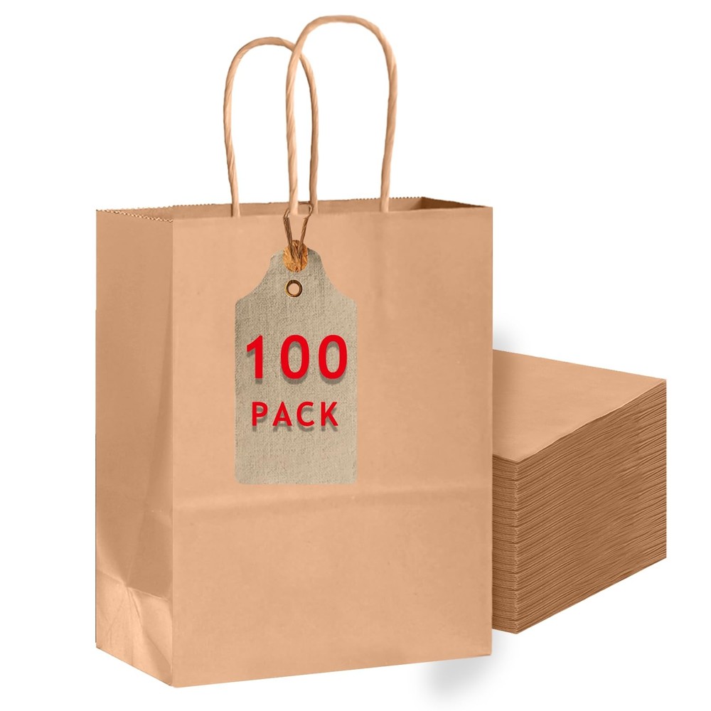 100-Pack Large Size Gift Paper Bags with Handles Bulk 13