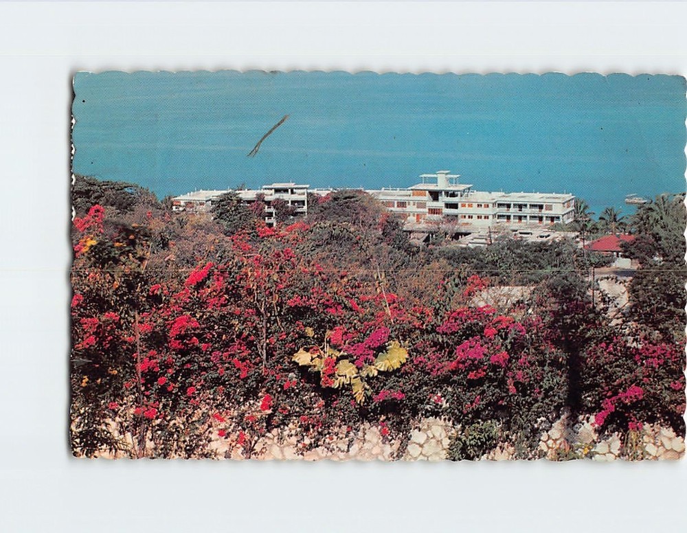 Postcard Overlooking Montego Beach Hotel Montego Bay Jamaica