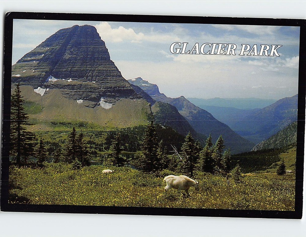 Postcard Glacier Park Montana USA