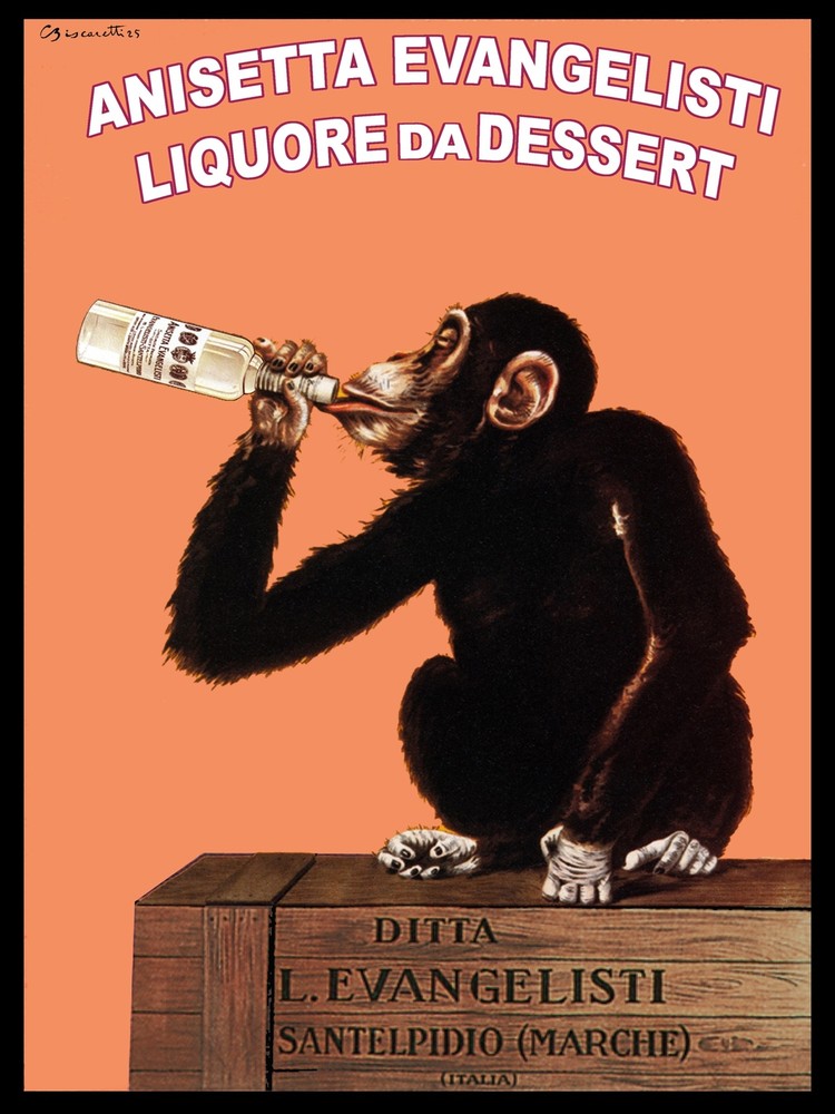 7682.Decoration Poster.Home Room wall design art.Anisetta Evangelisti monkey