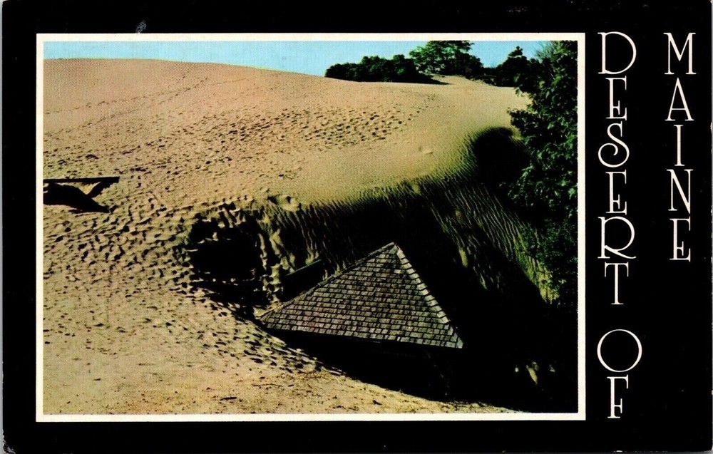 Desert Of Maine Buried Spring House Historic Landmark Chrome Postcard