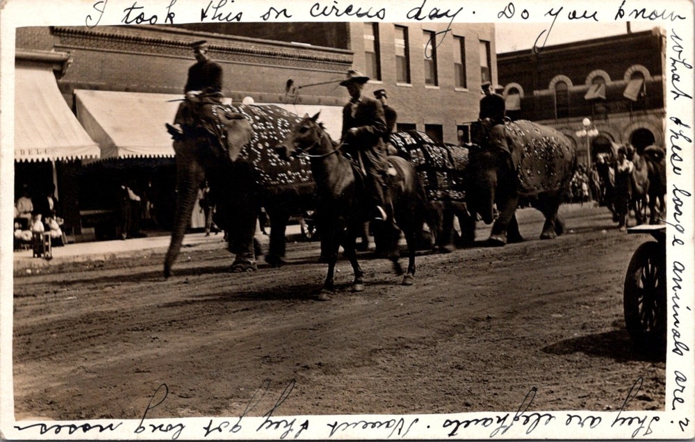 Sac City Iowa Circus Day Parade Elephants Main Street 1911 RPPC Postcard   16450