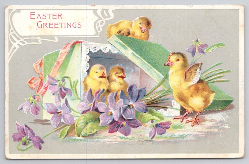 1908 Easter Greetings Postcard Chicks in Box Violets Stewartville NJ Posted