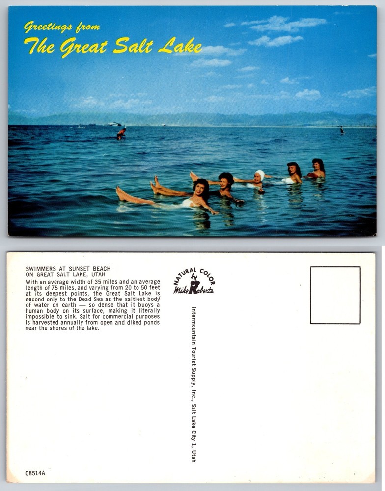 Great Salt Lake Utah Swimmers Sunset Beach Postcard