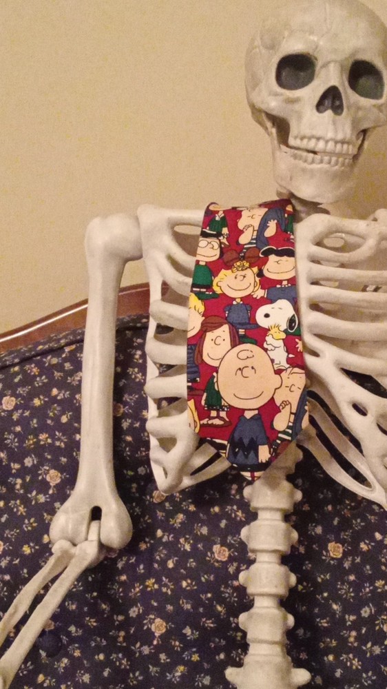 Peanuts Charlie Brown Snoopy tie, fun teacher tie 100% silk