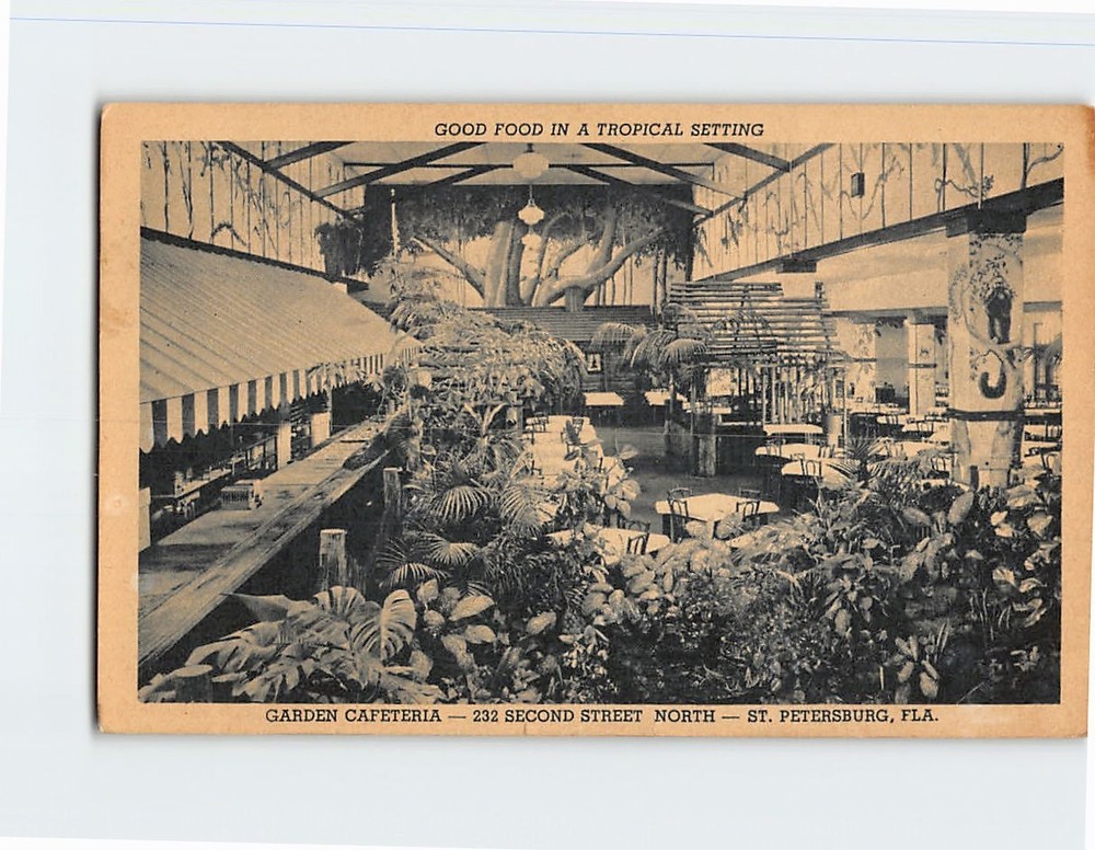 Postcard Interior Garden Cafeteria St. Petersburg Florida USA