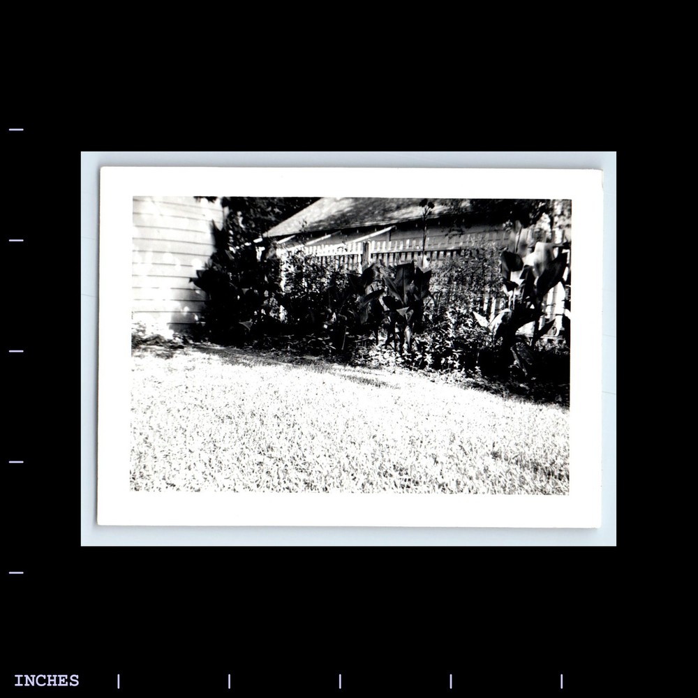 Old Vintage Photo HOUSE AND YARD