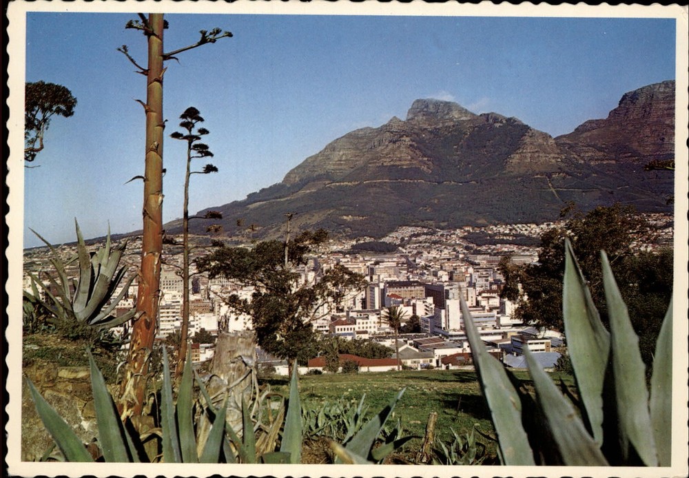 South Africa Cape Town aerial view from Signal Hill ~ unused postcard sku183