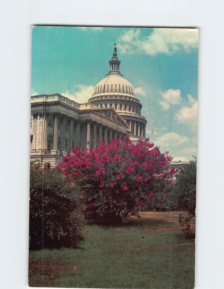 Postcard US Capitol Washington DC USA