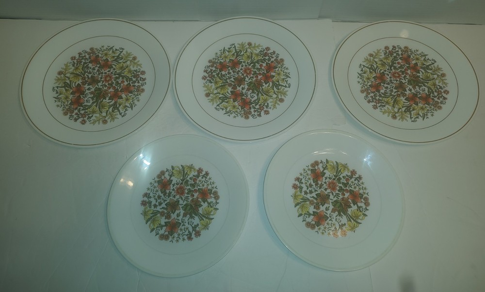 Set Of 5 Vintage Corelle Indian Summer Plates 3 - 10.25'' 2 - 8.5