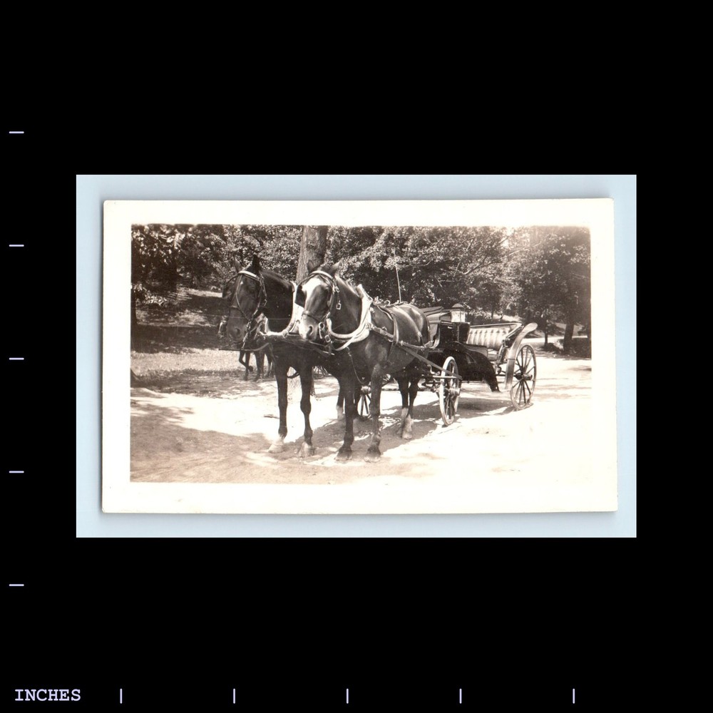 Old Vintage Photo HORSE-DRAWN CART CARRIAGE WAGON