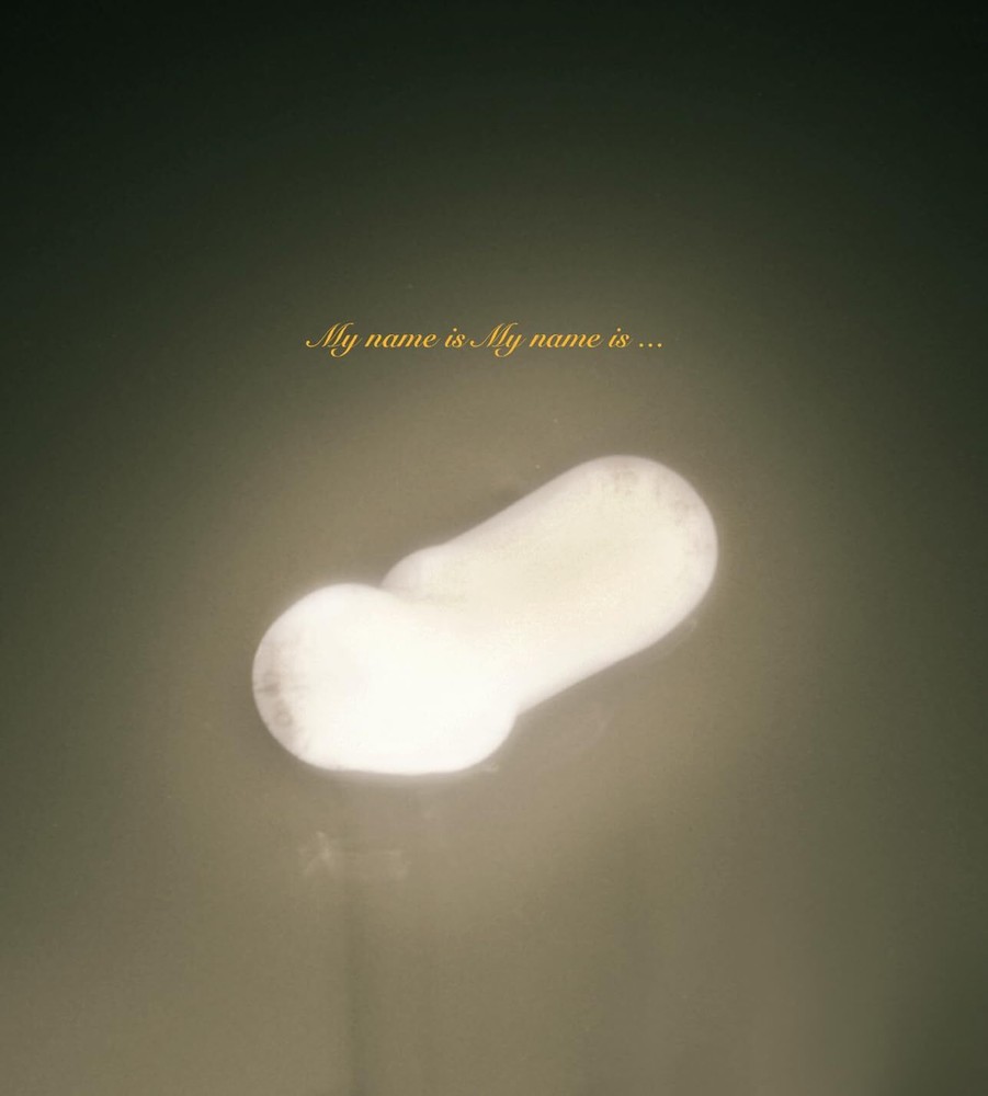 DAIDO Brothers Photo Collection Book My name is My name is from Japan Hardcover