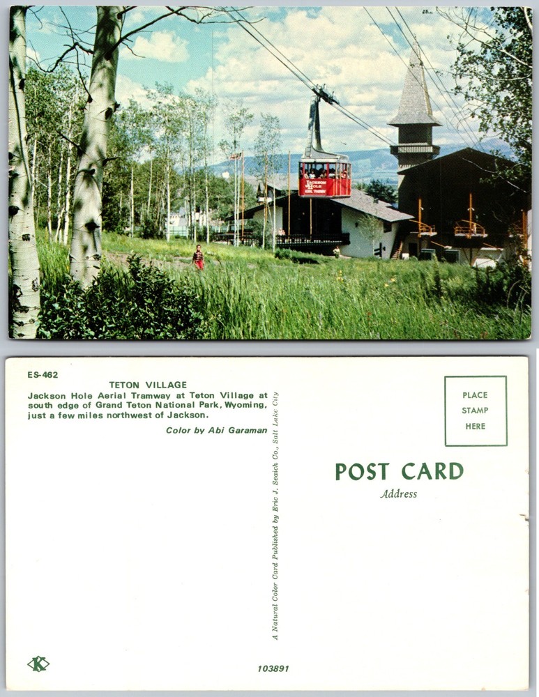 Teton Village Jackson Hole Aerial Tramway Wyoming Postcard