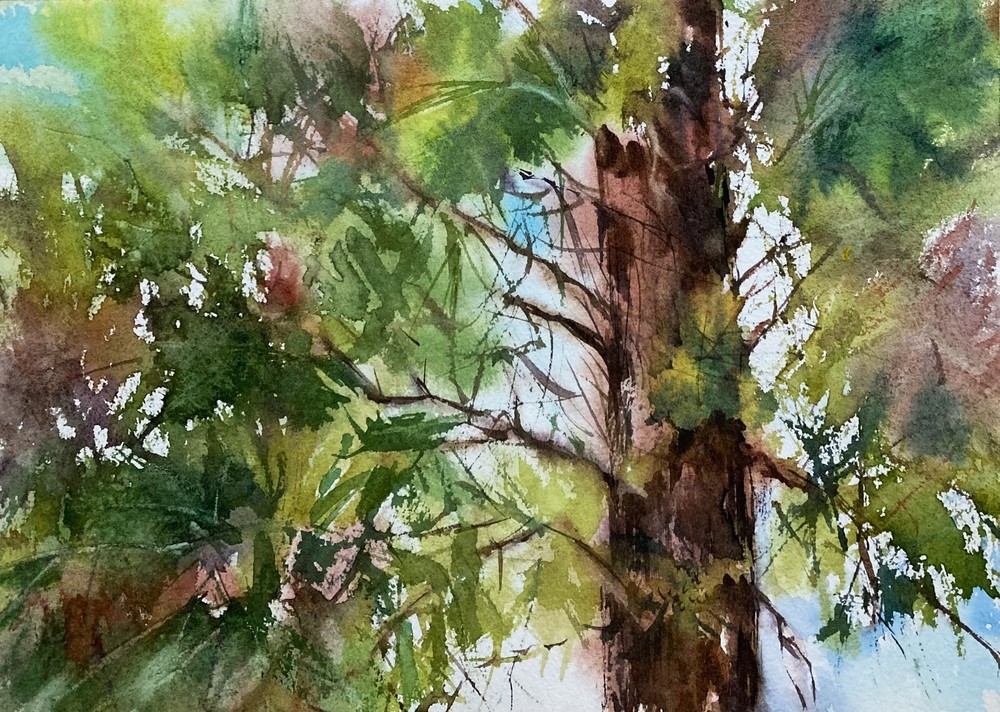 Tree Forest Abstract Watercolor Original Painting-image