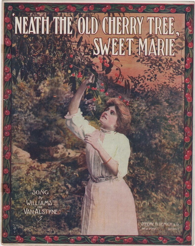 'Neath The Old Cherry Tree Sweet Marie 1907  1st version  Antique Sheet Music