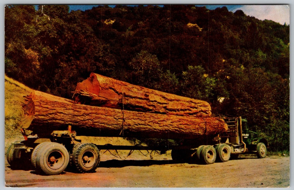 Vtg Postcard Log Hauler Truck Shelton, WA 1950s