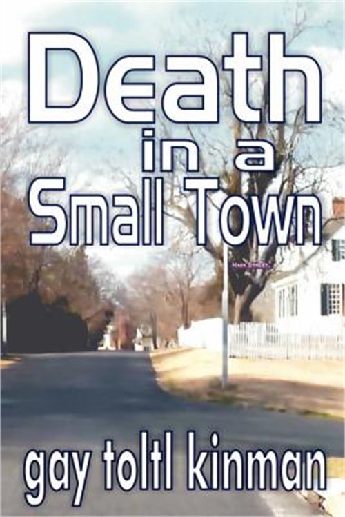 Death in a Small Town (Paperback or Softback)