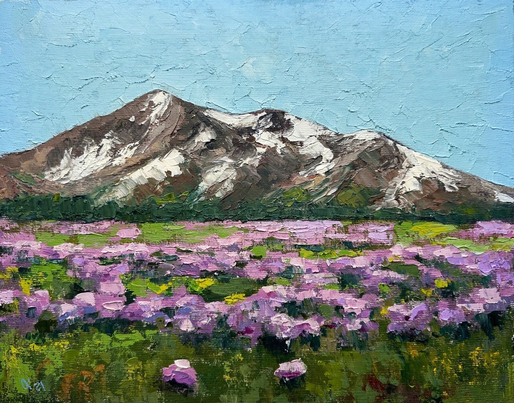 Original oil painting Meadow Landscape Mountains Impasto artwork 14x11