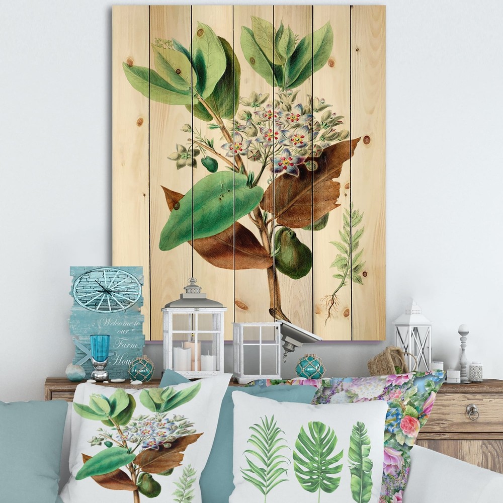 Designart 'Vintage Plant Life XXVIII' Traditional Print on