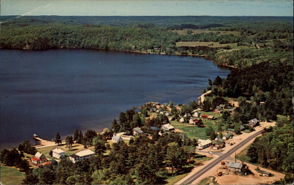 Dwight Ontario Canada Aerial view vintage postcard s939