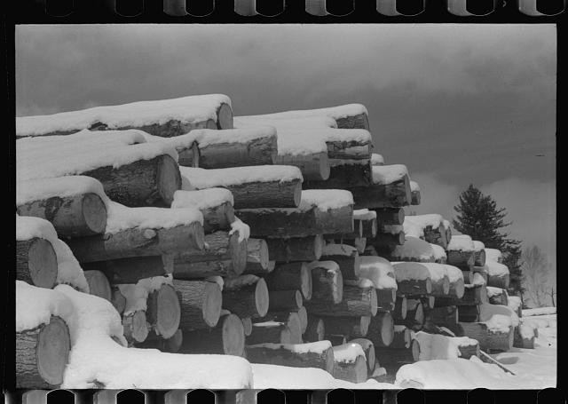 Warren New Hampshire 1938 Hurricane Sawmill Timber Logs Snow 1939 1940
