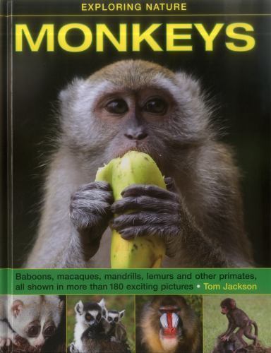 Monkeys : Baboons, macaques, mandrills, lemurs and other primates, all shown ...