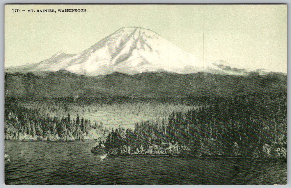 Antique Postcard MT Rainier National Park Mount Rainier, WA 1910s