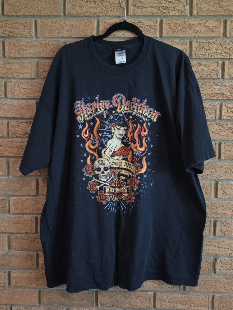Men's Harley-Davidson Graphic T-ShirtDetails:- Size: 2XL Tall (2XLT)- Color: