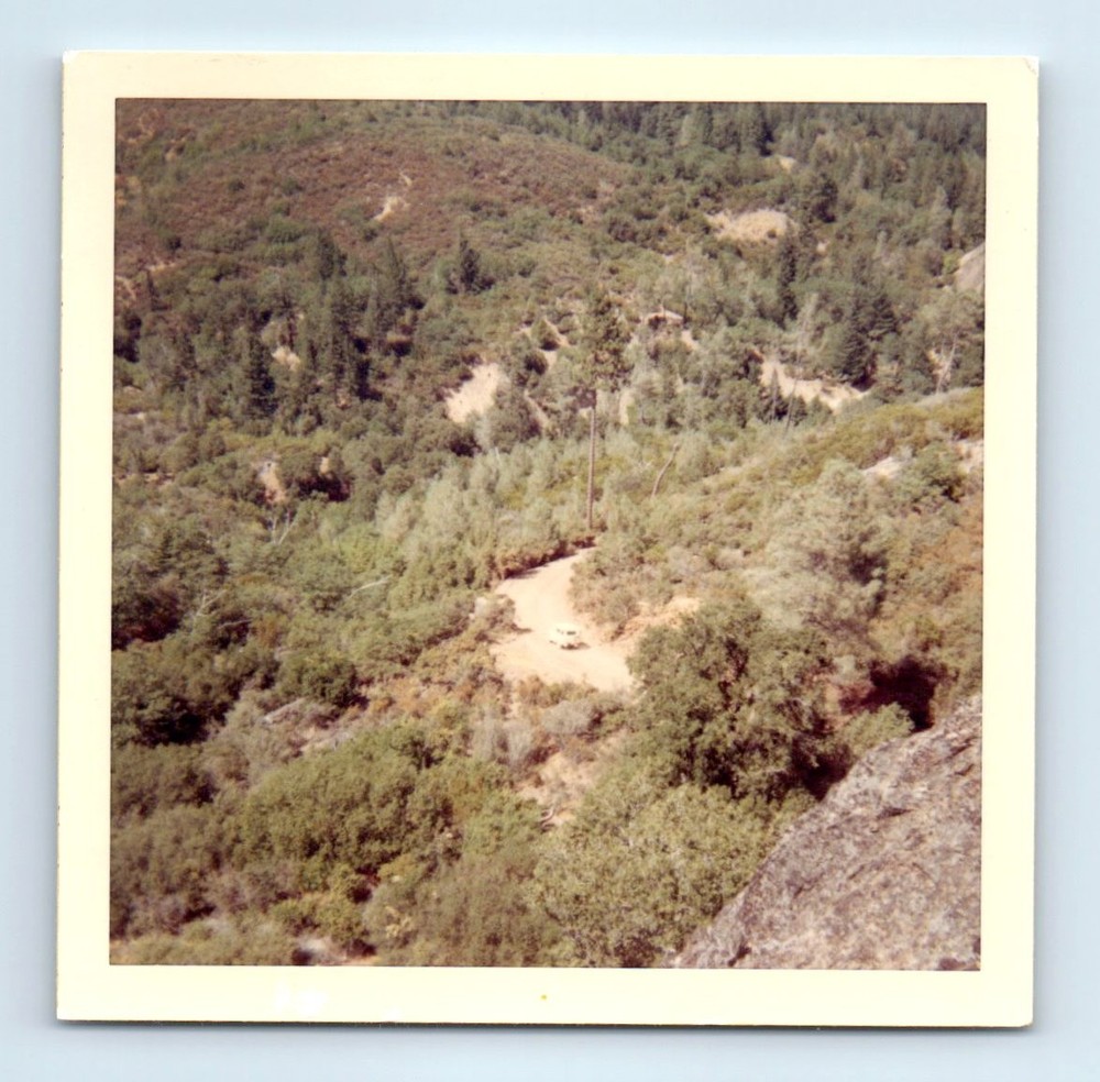 Old Vintage Square Color Photo LANDSCAPE FOREST TREES MOUNTAIN ROAD SNAPSHOT
