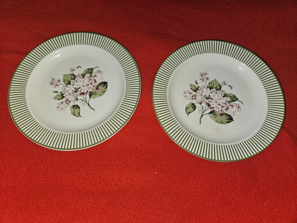 2  MSE Martha Stewart Hydrangea Salad Dessert Plates 8.5