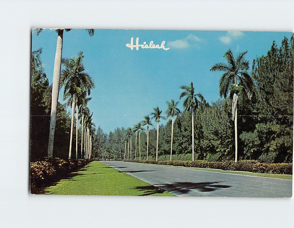 Postcard Royal Palm Entrance Club House Hialeah Racecourse Miami Florida USA