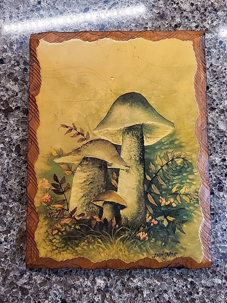 Mushroom Wood Wall Hanging Plaque Retro Vintage 70s MCM