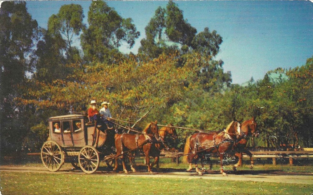 Vintage California Postcard Knott's Berry Farm Ghost Town Stage Coach