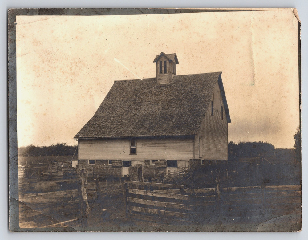 Antique Vintage Real Photo Picture Livestock Animal Sale Large Barn Farm Fence