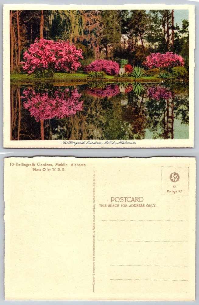 Bellingrath Gardens Mobile AL Azaleas Pond Reflection Swiss Postcard 1950s