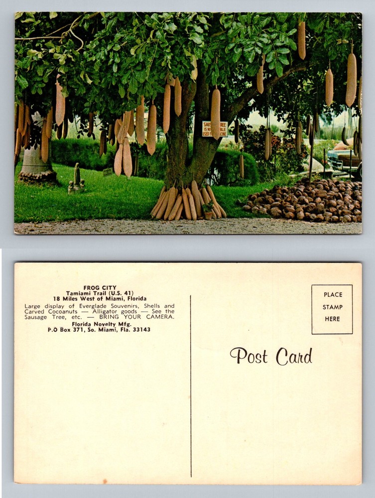 Miami, FL-Florida, Frog City Sausage Tree On The Tamiami Trail Vintage Postcard