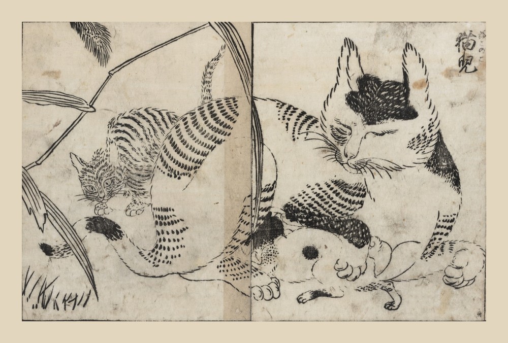 9429.Decoration Poster.Room wall art.Home decor.Pet cats Japanese drawing.Kitten