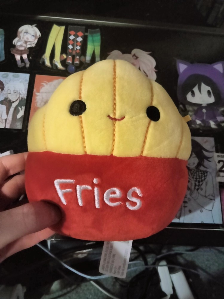 Floyd squishmallow