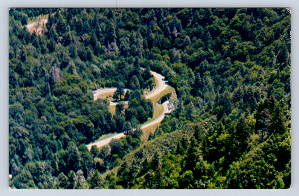 Vintage Postcard  The Loop Transmountain highway Great Smoky Mountains National