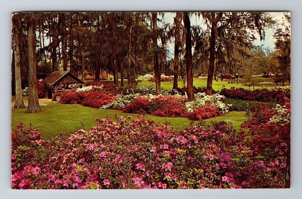 Orangeburg SC-South Carolina, Edisto Memorial Gardens, Vintage Souvenir Postcard