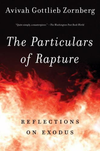 Particulars of Rapture : Reflections on Exodus, Paperback by Zornberg, Avivah...