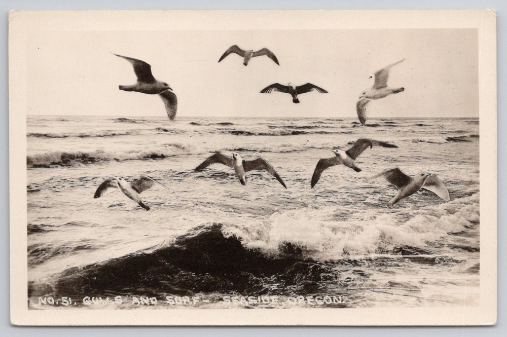 Seaside Oregon Gulls & Surf RPPC - Wesley Andrews WACO Real Photo Postcard
