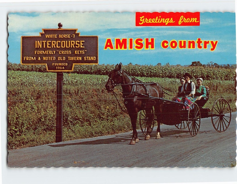 Postcard Horse & Buggy Greetings from Amish Country Intercourse Pennsylvania