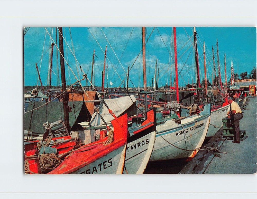 Postcard Sponge Fleet at Docks Tarpon Springs Florida USA