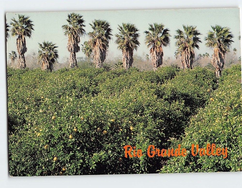 Postcard Rio Grande Valley Texas USA
